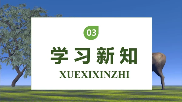 【核心素养】部编版语文三年级下册-7. 鹿角和鹿腿 第2课时（课件）