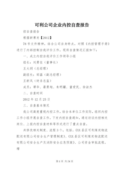 可利公司企业内控自查报告.docx