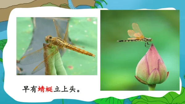 部编版语文一年级下册课文4 11古诗二首 小池 课件