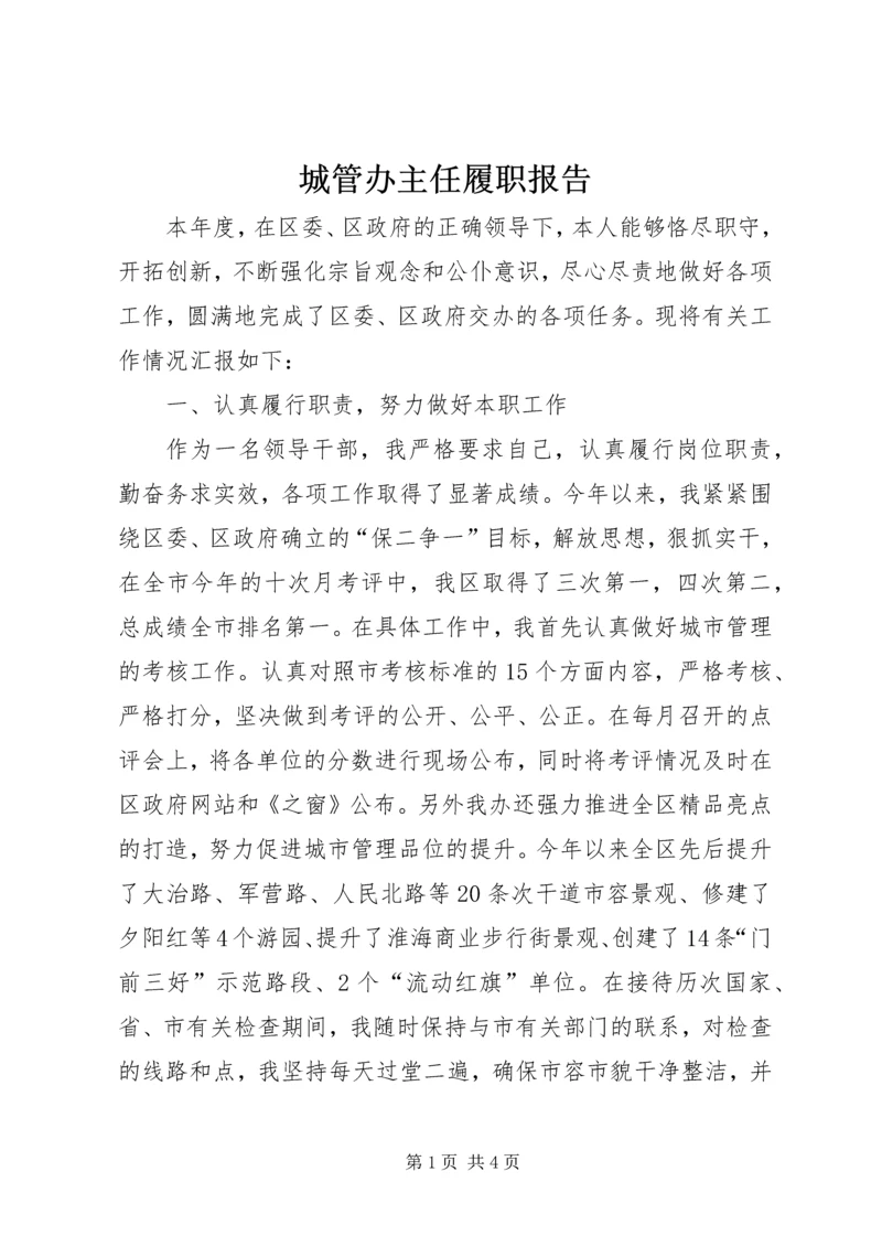 城管办主任履职报告.docx