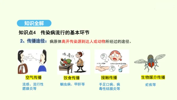 8.1.1传染病及其预防课件-人教版生物八年级下册(共29张PPT)