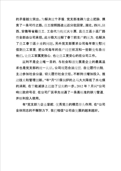 XX年非公企业党支部工作总结