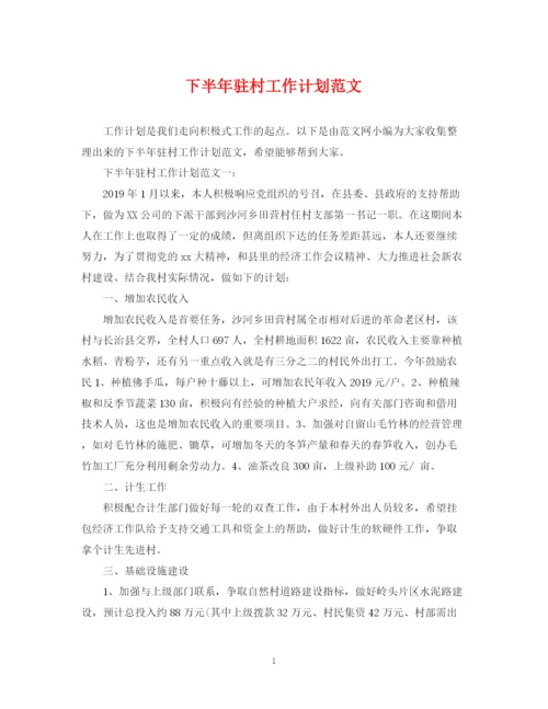 精编之下半年驻村工作计划范文.docx