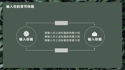 墨绿INS风小清新实景草地教学PPT模板