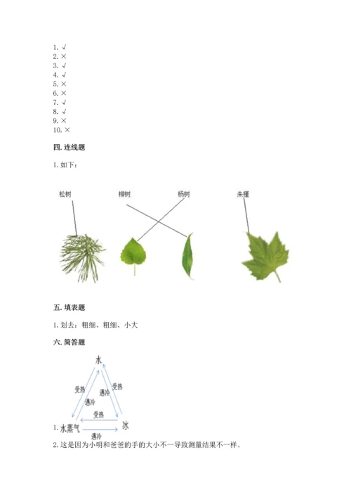教科版小学一年级上册科学期末测试卷附参考答案（综合卷）.docx