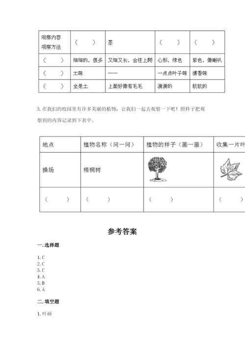 教科版科学一年级上册第一单元《植物》测试卷带答案（模拟题）.docx
