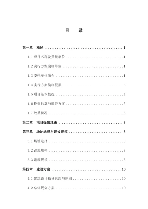 BOT项目实施方案.docx