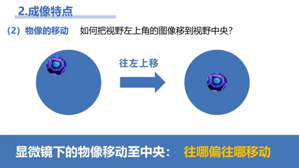 【核心素养目标】2.1.1《练习使用显微镜》课件(共42张PPT)