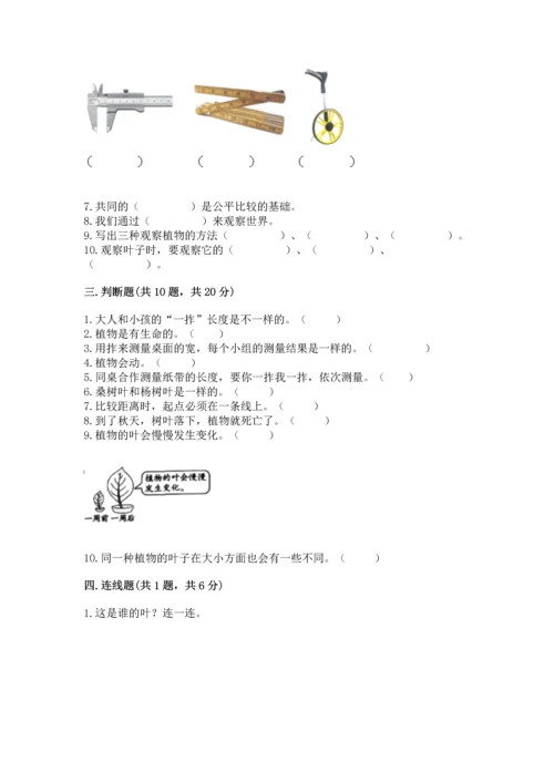 教科版一年级上册科学期末测试卷附答案ab卷.docx