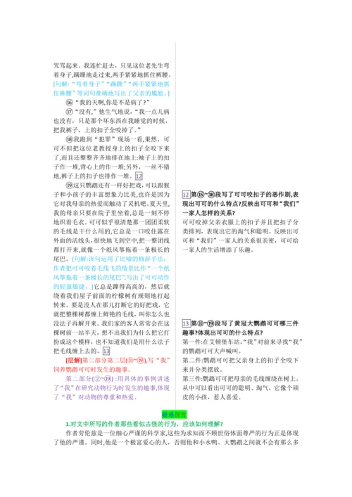 第五单元 第十七课 动物笑谈-【教材解读】2022-2023学年人教部编版语文七年级上册