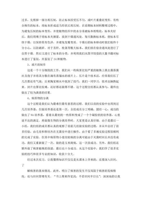 植物学实习报告模板合集6篇.docx
