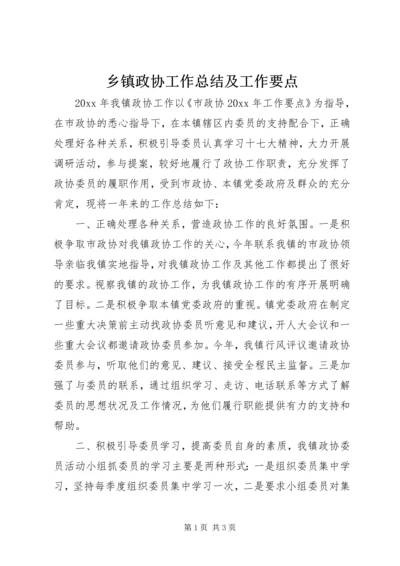 乡镇政协工作总结及工作要点.docx