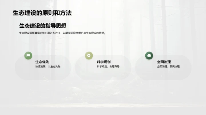 森林守护：生态重塑之路