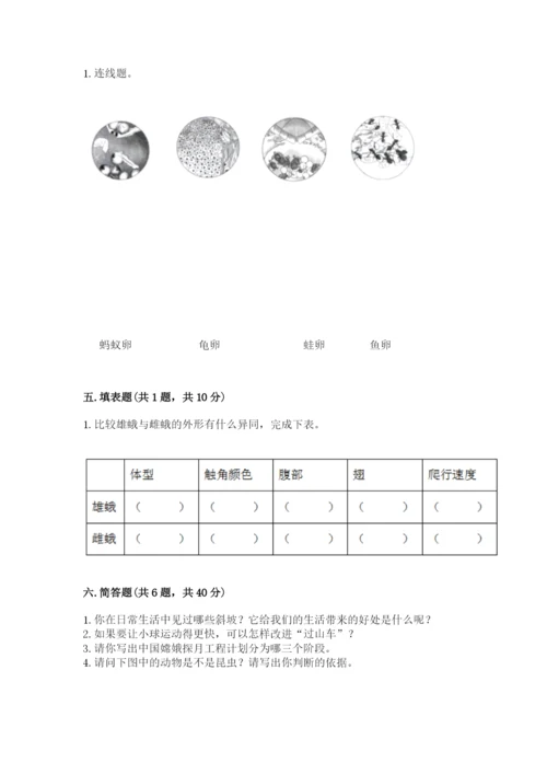 教科版科学三年级下册 期末测试卷带答案（最新）.docx