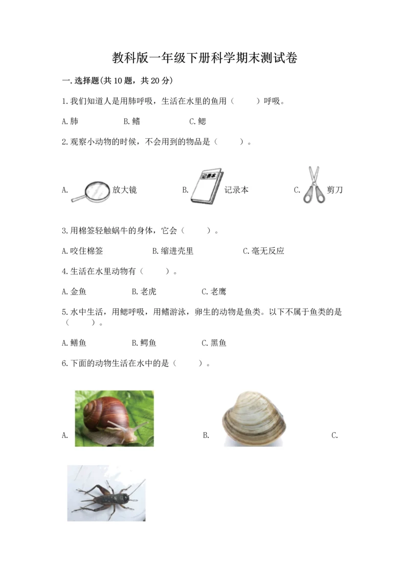 教科版一年级下册科学期末测试卷附答案（巩固）.docx