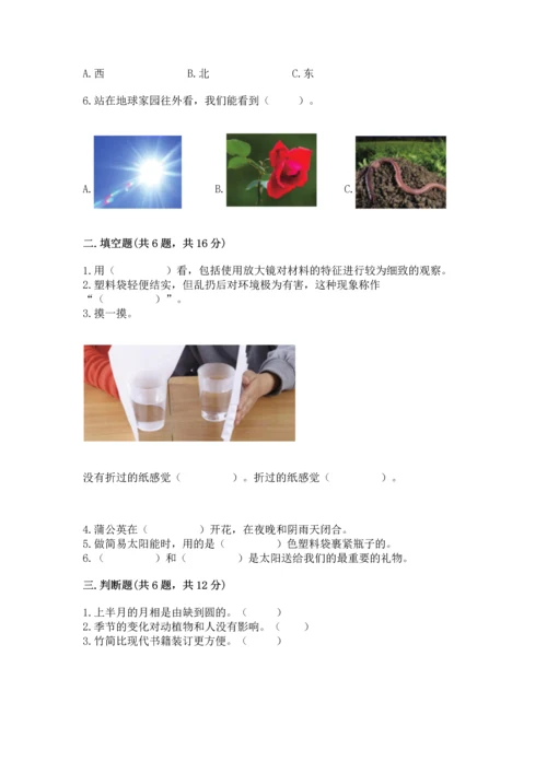 教科版科学二年级上册《期末测试卷》含答案【新】.docx