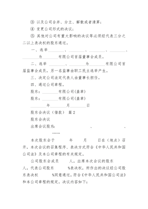 股东会决议（借款）.docx