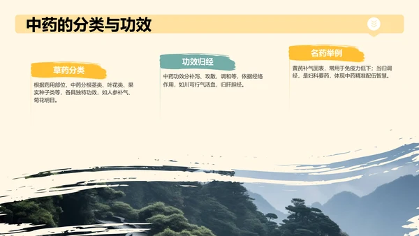 中医药文化科普宣传PPT模板