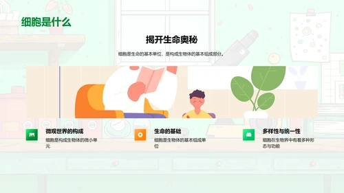 高中生物细胞学习PPT模板