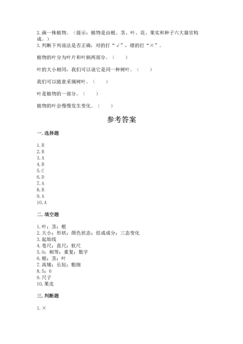 教科版一年级上册科学期末测试卷精品【b卷】.docx