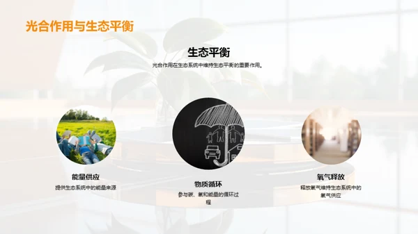 绿色能源之源