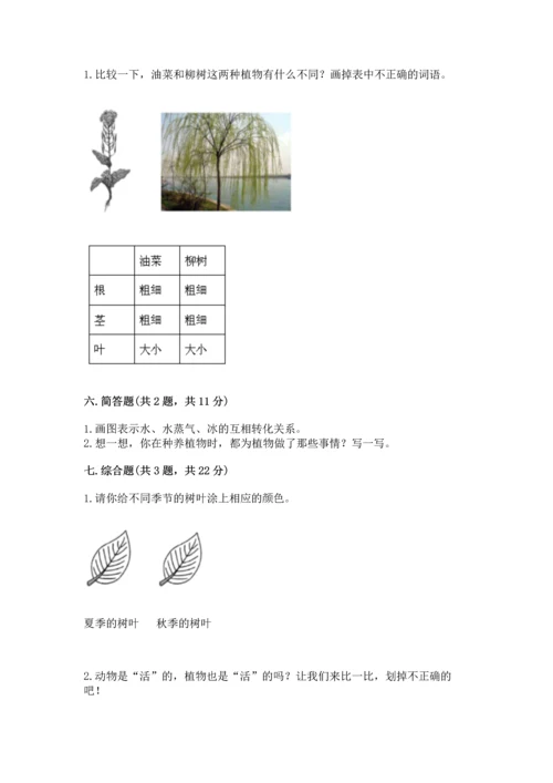 教科版科学一年级上册第一单元《植物》测试卷（典型题）.docx