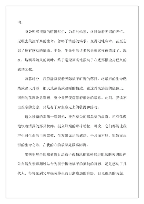 2022感动高中作文