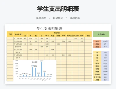 学生支出明细表