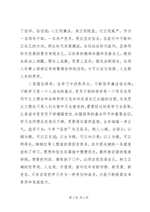 党性党风党纪教育活动心得体会.docx
