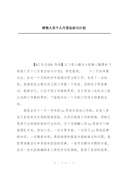 销售人员个人月度总结与计划.docx