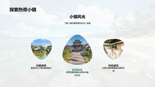 热带之旅：深度体验