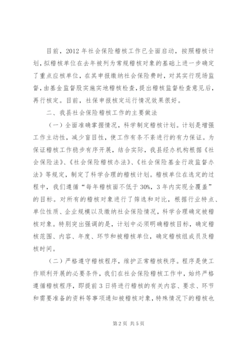 县社会保险稽核工作汇报.docx