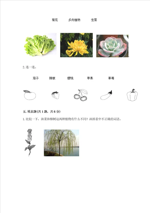 教科版科学一年级上册第一单元植物测试卷完整版