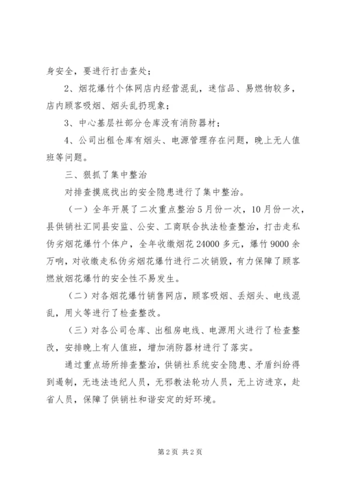 供销社社会治安重点场所排查整治总结.docx