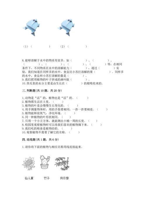 教科版一年级上册科学期末测试卷及答案一套.docx