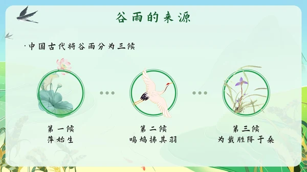 绿色中国风梯水稻田二十四节气之谷雨带内容PPT模板