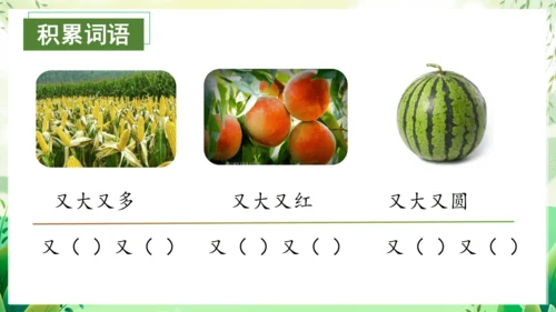 17小猴子下山（教学课件）