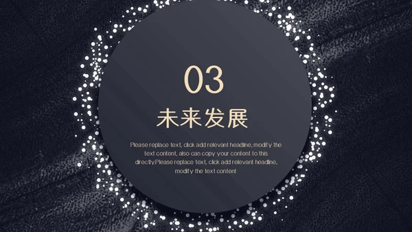 颗粒真皮质感计划书通用PPT模板
