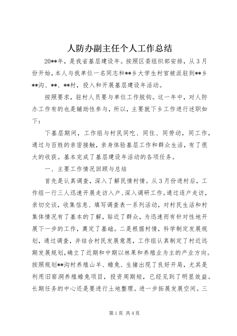 人防办副主任个人工作总结.docx