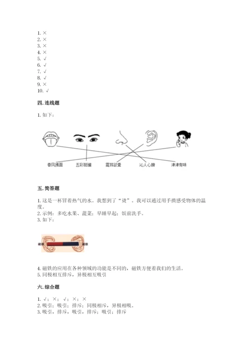 教科版二年级下册科学期末测试卷带答案（黄金题型）.docx