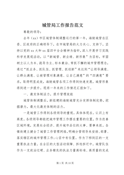 城管局工作报告范文.docx