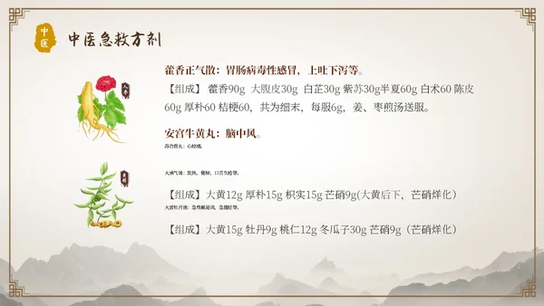中国古风人物针灸药材中医常用急救技术教学宣传演讲模板