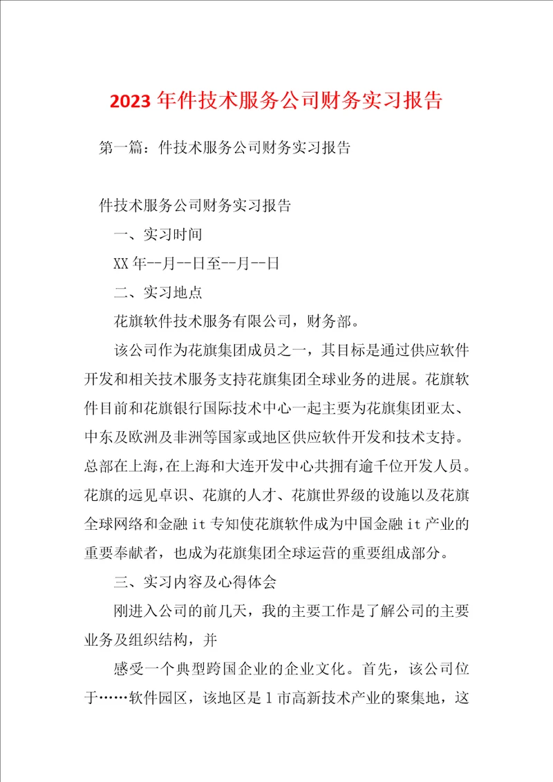 2023年件技术服务公司财务实习报告