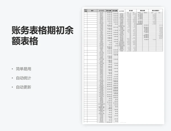 账务表格期初余额表格