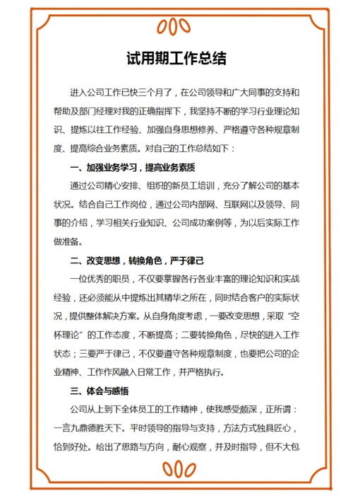 试用期工作总结