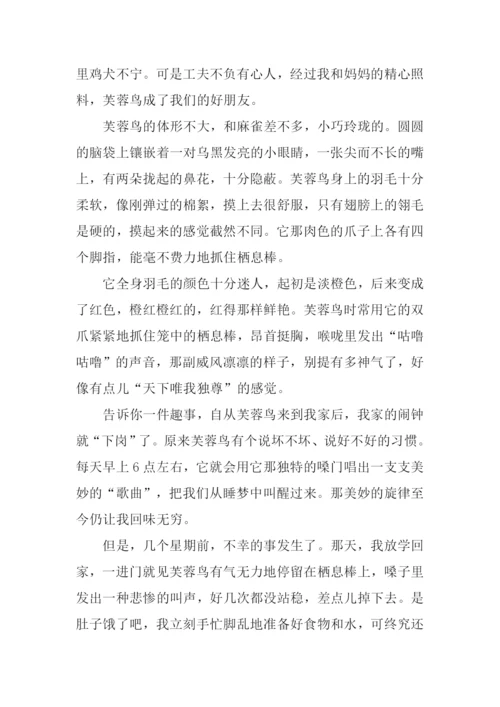 描写动物的作文450字.docx