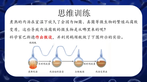 人教版生物七年级上册2.3.2《细菌》课件(共24张PPT)
