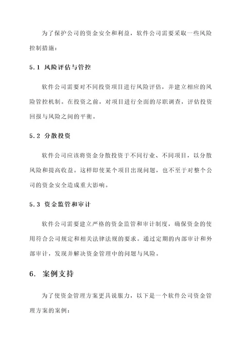 软件公司资金管理方案