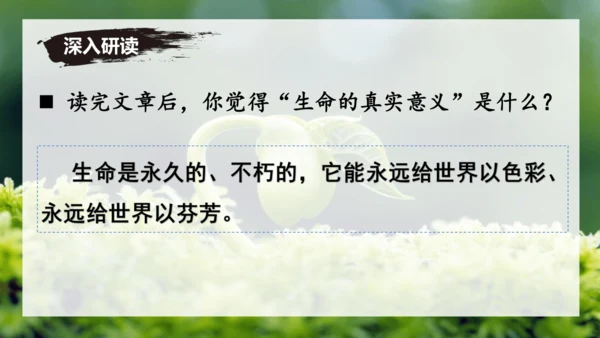 第16课 散文二篇 《永久的生命》课件