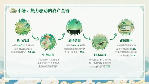 绿色中国风小暑节气讲解节气知识